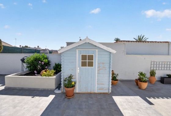 Segunda Mano - Chalet - Torrevieja - Costa Blanca