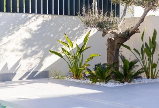 Resale - Detached Villa - Algorfa - Inland