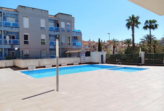 Segunda Mano - Apartamento - Torrevieja - Estacion de autobuses