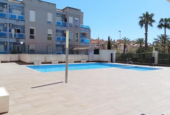 Segunda Mano - Apartamento - Torrevieja - Estacion de autobuses