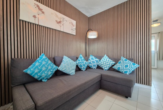 Segunda Mano - Apartamento - San Miguel de Salinas - Inland