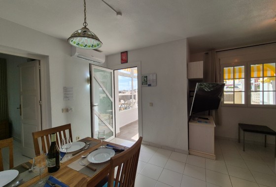 Segunda Mano - Apartamento - San Miguel de Salinas - Inland