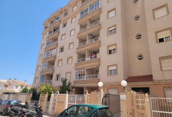 Segunda Mano - Apartamento - Torrevieja - Nueva Torrevieja