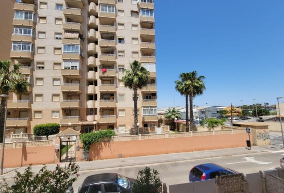 Segunda Mano - Apartamento - Torrevieja - Nueva Torrevieja