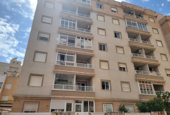 Segunda Mano - Apartamento - Torrevieja - Nueva Torrevieja