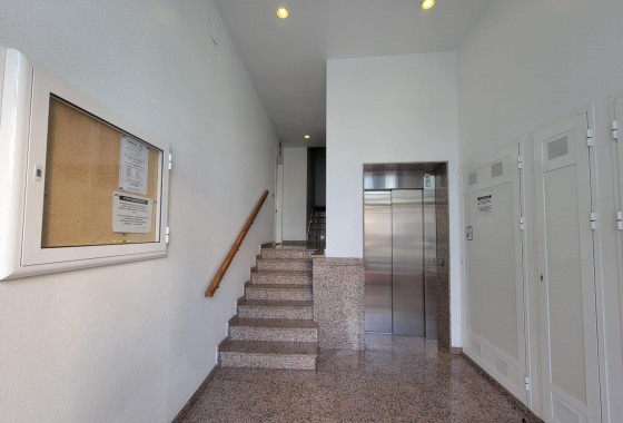 Segunda Mano - Apartamento - Torrevieja - Playa del Cura