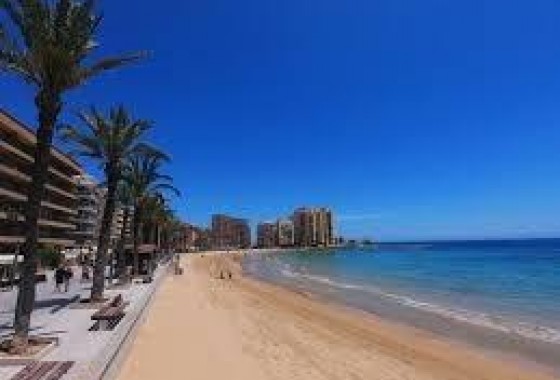 Segunda Mano - Apartamento - Torrevieja - Estacion de autobuses