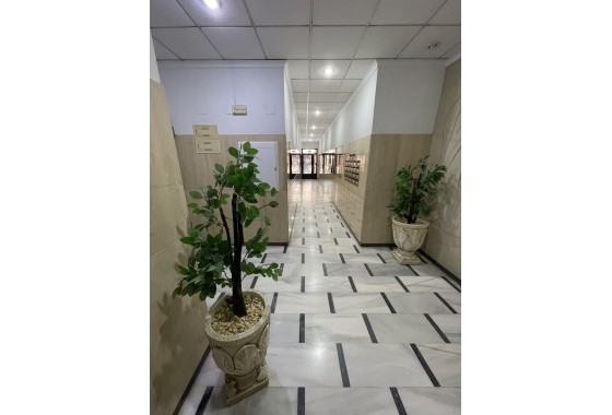 Segunda Mano - Apartamento - Torrevieja - Playa de cura