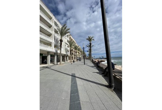 Segunda Mano - Apartamento - Torrevieja - Playa de cura