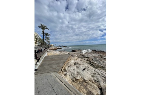 Segunda Mano - Apartamento - Torrevieja - Playa de cura