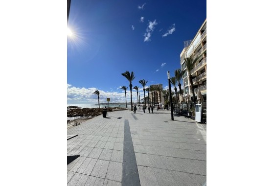 Segunda Mano - Apartamento - Torrevieja - Playa de cura