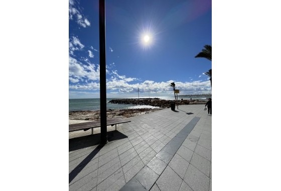 Segunda Mano - Apartamento - Torrevieja - Playa de cura