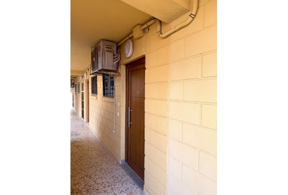 Revente - Appartement - Torrevieja - Cabo cervera