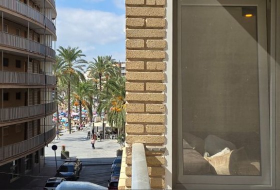Segunda Mano - Apartamento - Torrevieja - Centro