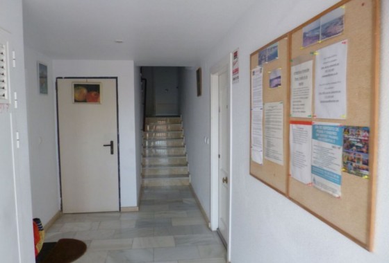 Segunda Mano - Apartamento - Orihuela Costa - Inland