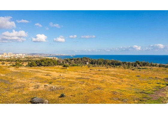 Segunda Mano - Apartamento - Orihuela Costa - Punta Prima
