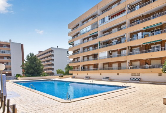 Segunda Mano - Apartamento - Orihuela Costa - Punta Prima