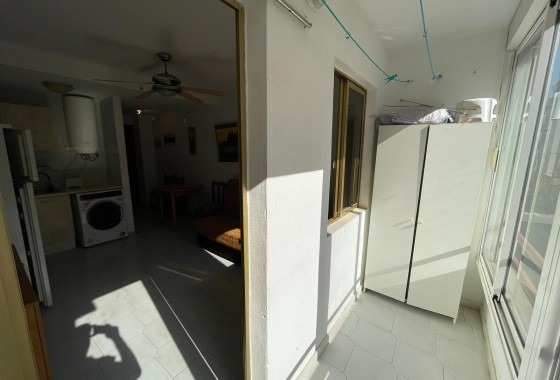 Segunda Mano - Estudio - Torrevieja - Centro