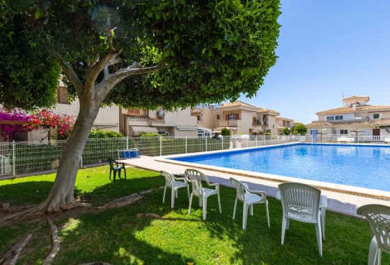 Alquiler a corto plazo - Apartamento - Orihuela Costa - La Zenia