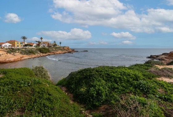 Location à court terme - Appartement - Torrevieja