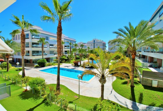 Segunda Mano - Apartamento - Villamartin - Los Dolses