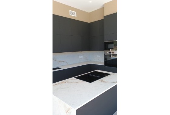 Nouvelle construction - Villa - Pilar de la Horadada - Lo Romero Golf