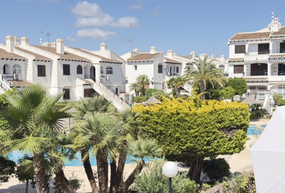 Segunda Mano - Apartamento - Orihuela Costa - Cabo Roig