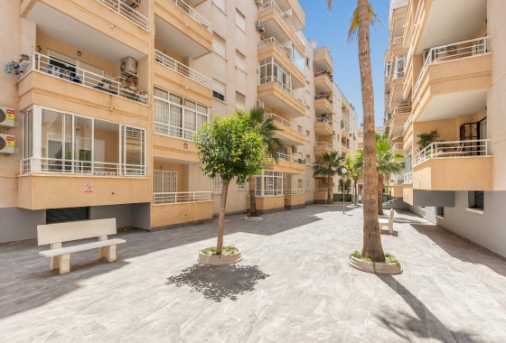Revente - Appartement - Torrevieja - Estacion de autobuses