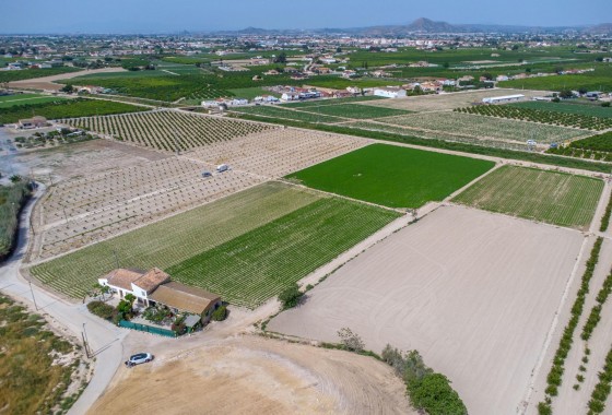 Resale - Country Property - Orihuela Costa - Desamparados-Hurchillo-Torremendo