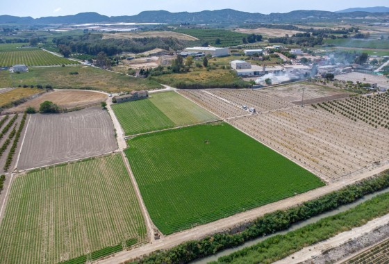 Resale - Country Property - Orihuela Costa - Desamparados-Hurchillo-Torremendo
