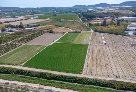 Resale - Country Property - Orihuela Costa - Desamparados-Hurchillo-Torremendo