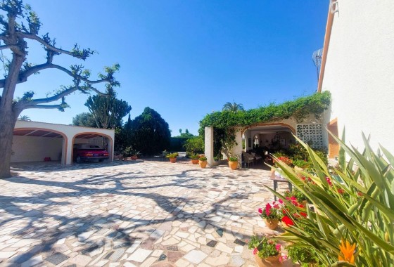 Segunda Mano - Finca - La marina - La Marina