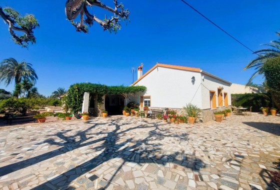 Segunda Mano - Finca - La marina - La Marina