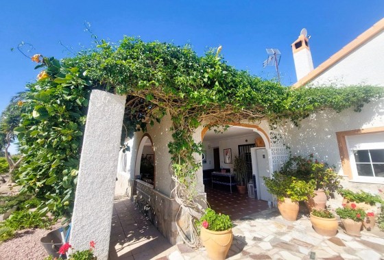 Segunda Mano - Finca - La marina - La Marina