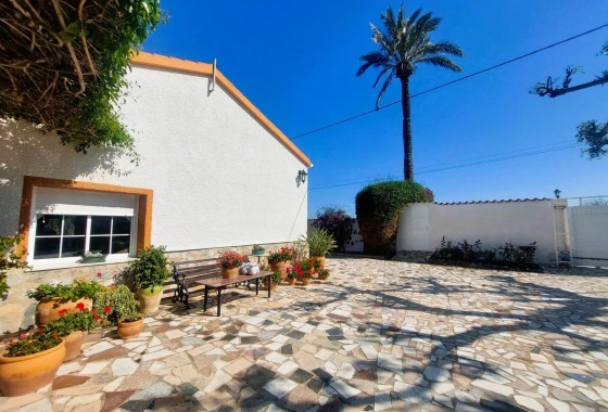 Segunda Mano - Finca - La marina - La Marina