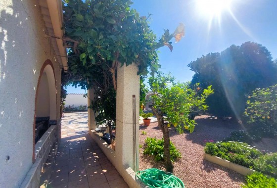 Segunda Mano - Finca - La marina - La Marina