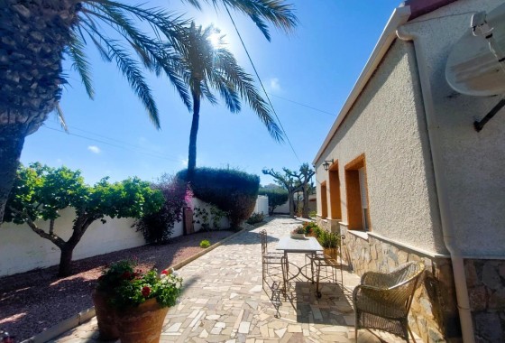 Segunda Mano - Finca - La marina - La Marina