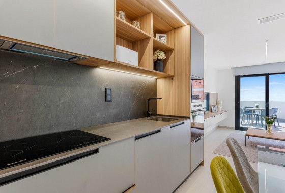Obra nueva - Apartamento - Guardamar del Segura - EL RASO