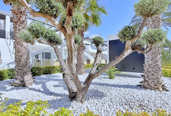 Segunda Mano - Apartamento - Orihuela Costa - Punta Prima