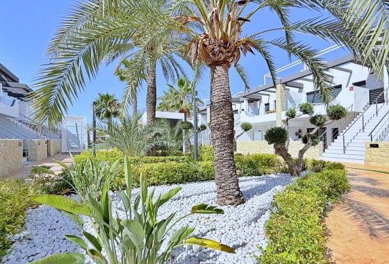 Segunda Mano - Apartamento - Orihuela Costa - Punta Prima