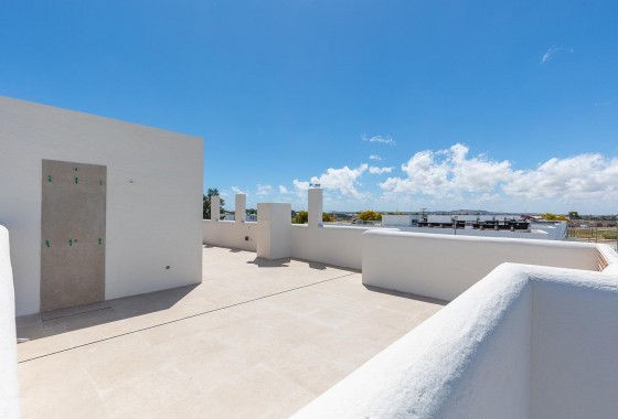 Obra nueva - Bungalow - Dolores - ZONA NUEVA