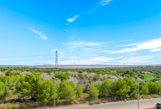 Segunda Mano - Chalet - Orihuela Costa - Villamartín