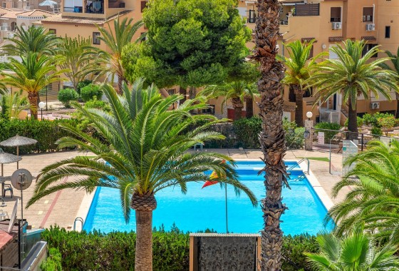 Segunda Mano - Apartamento - Torrevieja - Torrevieja - Aguas Nuevas