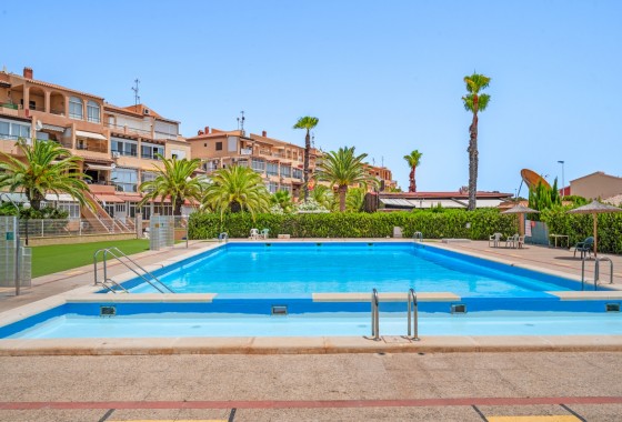 Segunda Mano - Apartamento - Torrevieja - Torrevieja - Aguas Nuevas