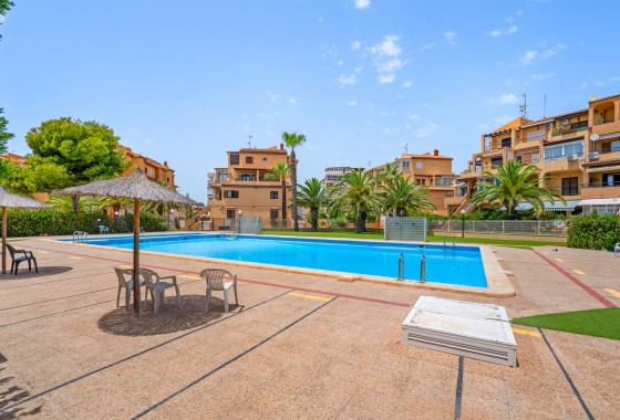 Segunda Mano - Apartamento - Torrevieja - Torrevieja - Aguas Nuevas