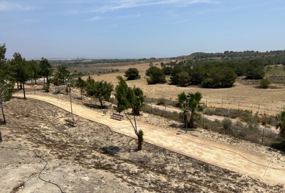 Segunda Mano - Chalet - San Miguel de Salinas - San Miguel Salinas