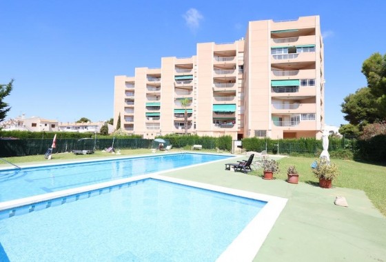 Segunda Mano - Apartamento - Orihuela Costa - La Zenia