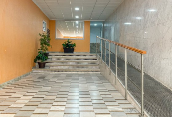 Segunda Mano - Apartamento - Torrevieja - El Acequión - Los Náufragos