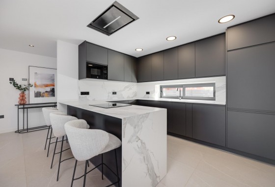Nouvelle construction - Villa - Torrevieja - Parque Acuático - Sector 25
