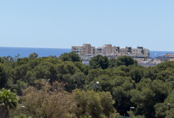 Resale - Detached Villa - Mil Palmeras